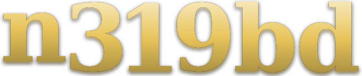 n319bd logo